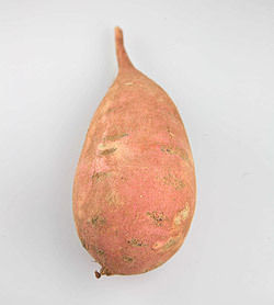 Sweet Potato