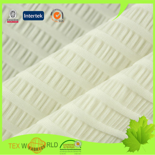 Textile Elastic Pleated Mesh Jacquard Knitting Fabric (NEQ312-150)