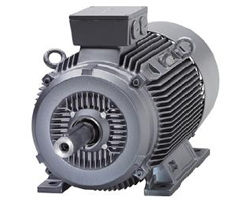 Low Voltage Motors