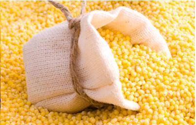 Maize Or Yellow Corn