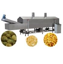 Continuous Fryer