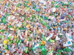 Pet Plastic Bottle Scrap