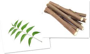 Neem Stick