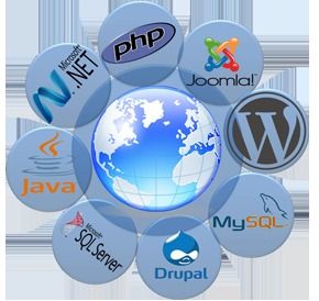 Software Development Service