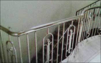 Stylish Stainless Steel Balcony Railing