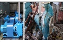 Pumps Repairing Service