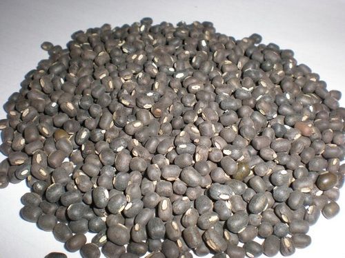 Black Matpe Beans