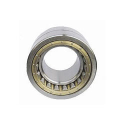 Double Row Cylindrical Roller Bearings Races