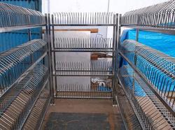 Stainless Steel Plate Rack