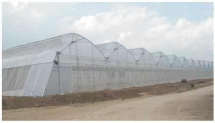 Agri Green House