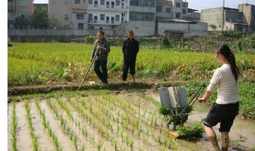 2 Rows Hand Crank Rice Transplanter