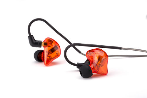 Earphones Accessories