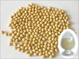 Soya Isoflavones