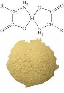 Zinc Glycine Amino Acid Chelate