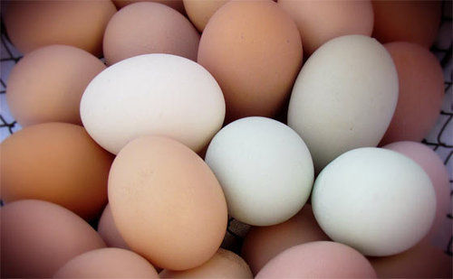 White And Brown Fresh Chicken Eggs