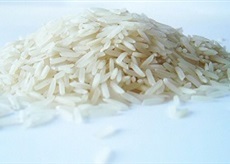 O&A international Rice