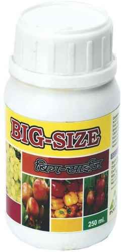 Big Size