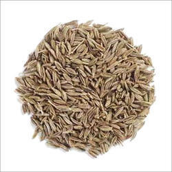 Cumin Seed