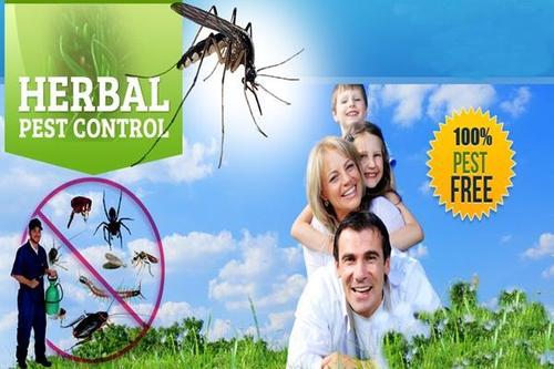 Herbal Pest Control Service By PSDA PEST CONTROL