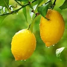 Lemons