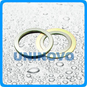 Spiral Wound Gasket