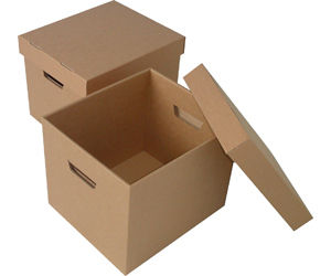 Carton Box Rent Service