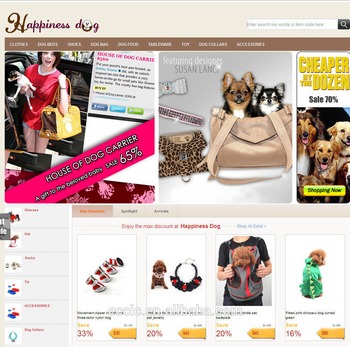 Development Service - Professional Quality Solutions | Affordable Pricing, Experienced Team