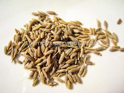 Cumin Seed