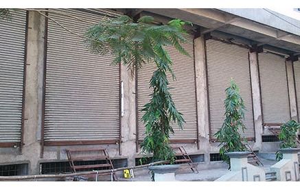 Mild Steel Rolling Shutters