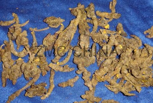 Coptis Root (Mamira)