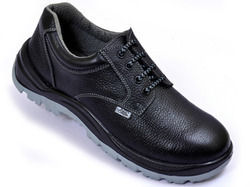 Derby Safety Shoes (Allen Cooper)