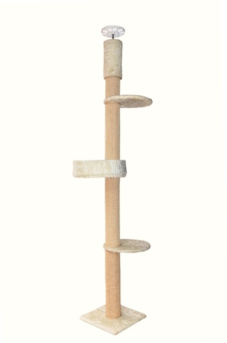 Getz Cat Climbing Tree