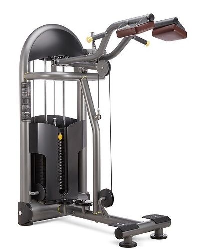 Standing Calf Machine