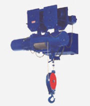 Rings Fixed Suspension Hoist