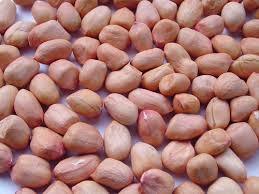 Peanuts Seeds