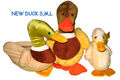 Duck Stuffed Toys