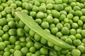 Green Pea Seeds