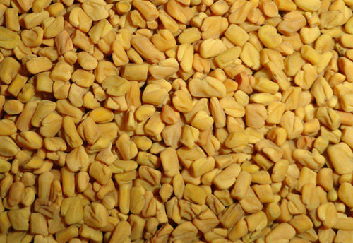 Fenugreek Seed