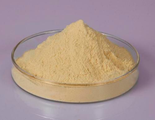 Casein Peptone