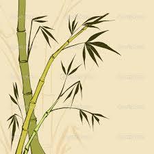 Green Bamboo Plant