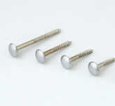 Brass Mirror Screw