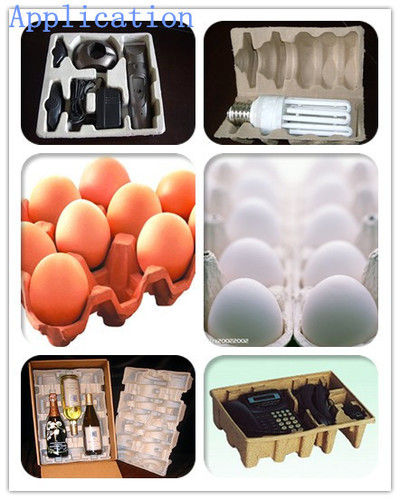 Plastic Incubator Egg Tray Machine