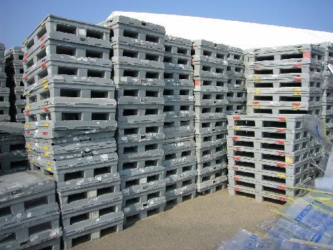 Plastic Pallets