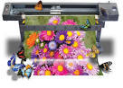 Affordable Digital Printing Services