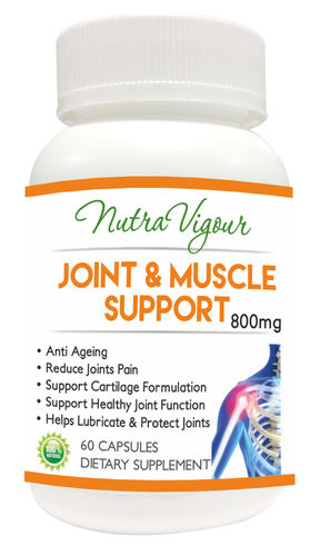 JOINT & MUSCLE SUPPORT