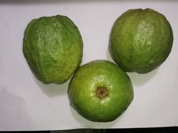 Fresh Guava