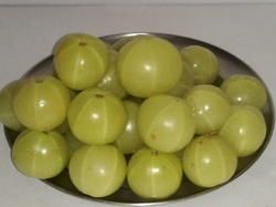 Fresh Organic Amla