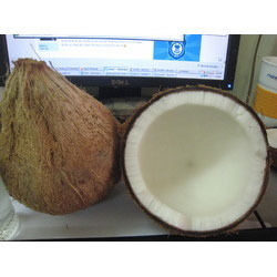 Semi Husked Coconut