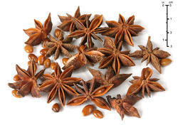 Star Anise