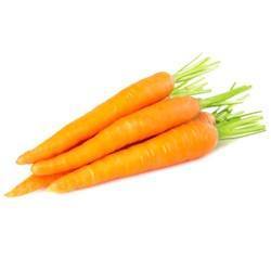 Fresh Carrot